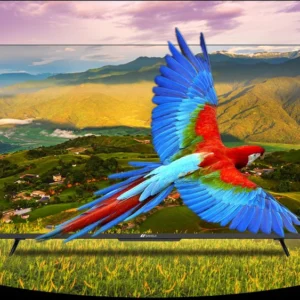 Sansui 140 cm (55 inch) Ultra HD (4K) LED
  Smart Android TV (JSW55ASUHD)