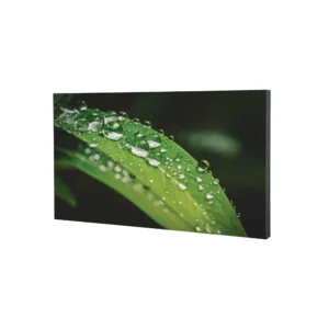 SAMSUNG 43 INCH DISPLAY QM43