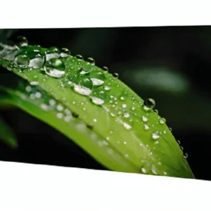 SAMSUNG 55" VMB-R Narrow Bezel Video
  Wall Display VM55B-R