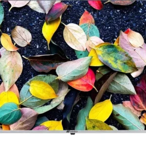 SANSUI 43INCH LED DISPLAY