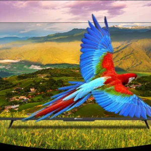 SANSUI 109cm (43 Inches) Full HD Smart
  Google LED TV JSW43GSFHD (Black)